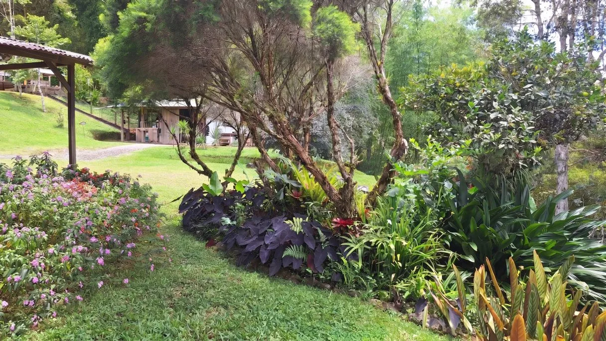Sustainable End of the Road Mountain Estate for sale near Chirripó National Park, photo 6