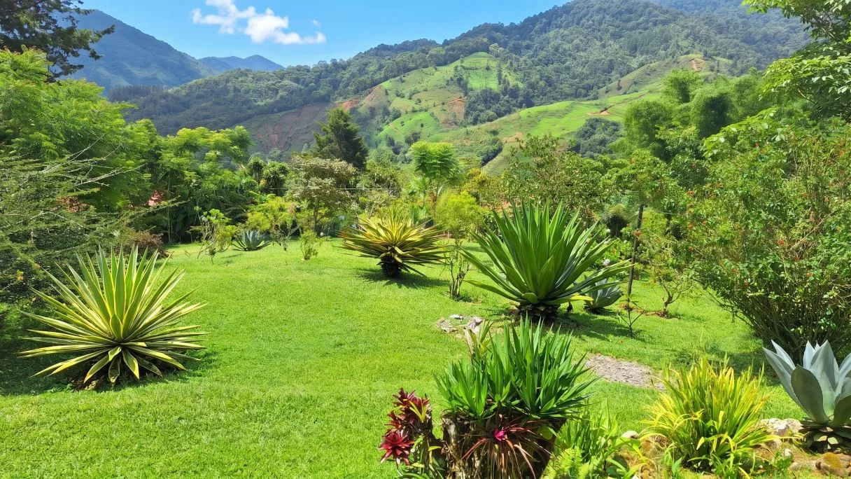 Sustainable End of the Road Mountain Estate for sale near Chirripó National Park, photo 7