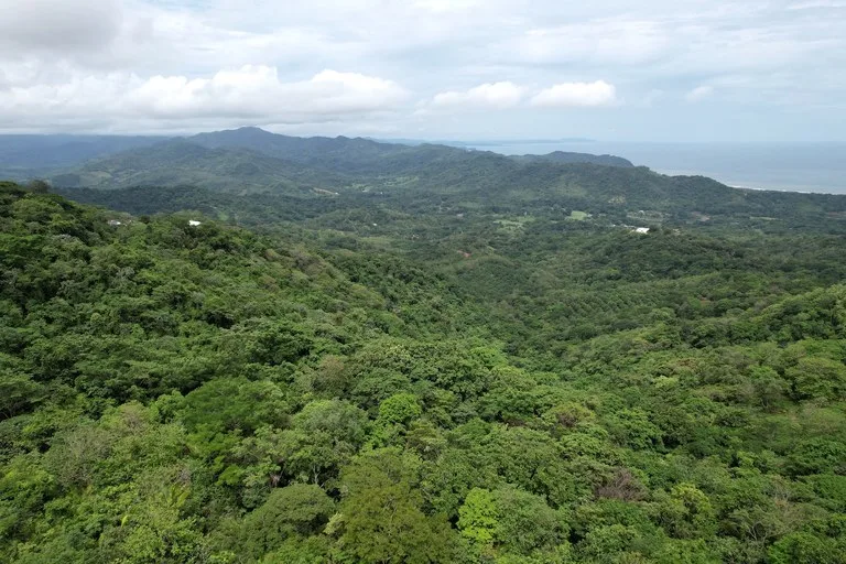 Lotes Paraíso: Spectacular Ocean and Mountain View 5.77 acres Development Land, photo 2