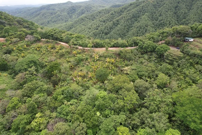 Lotes Paraíso: Spectacular Ocean and Mountain View 5.77 acres Development Land, photo 13