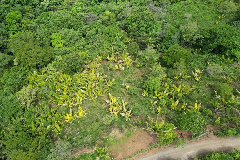 Lotes Paraíso: Spectacular Ocean and Mountain View 5.77 acres Development Land, photo 14