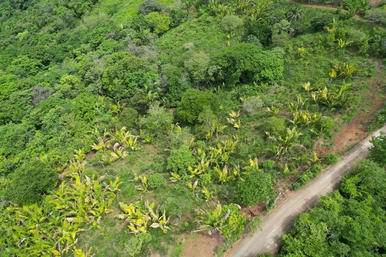 Lotes Paraíso: Spectacular Ocean and Mountain View 5.77 acres Development Land, photo 15