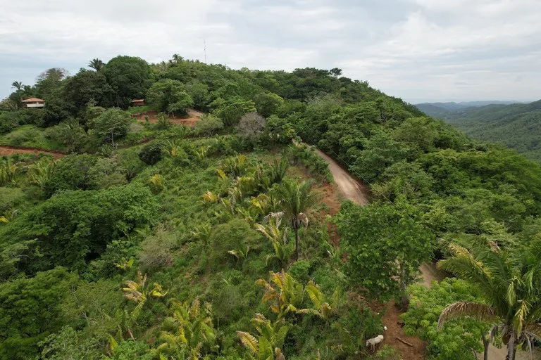 Lotes Paraíso: Spectacular Ocean and Mountain View 5.77 acres Development Land, photo 4