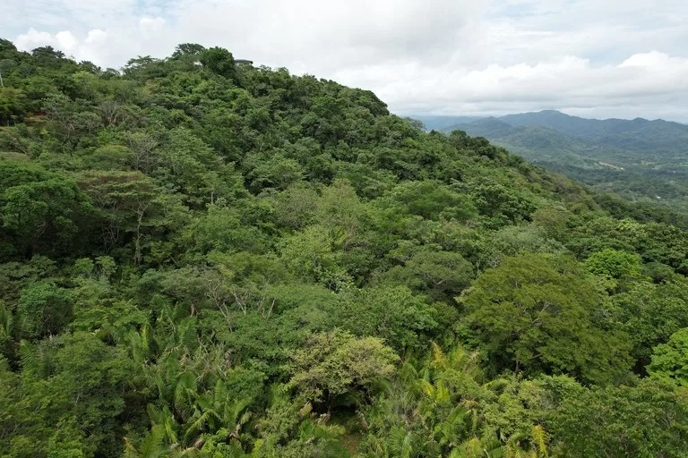 Lotes Paraíso: Spectacular Ocean and Mountain View 5.77 acres Development Land, photo 7