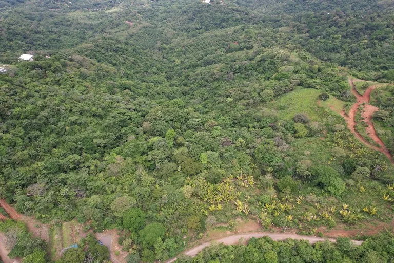 Lotes Paraíso: Spectacular Ocean and Mountain View 5.77 acres Development Land, photo 8