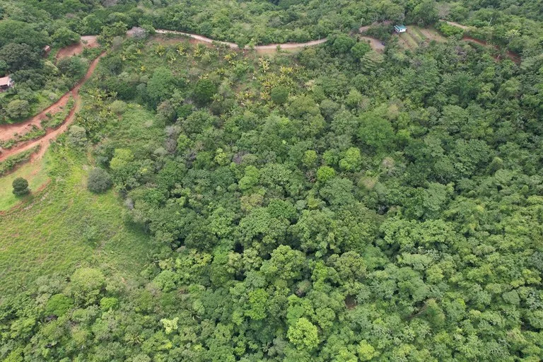 Lotes Paraíso: Spectacular Ocean and Mountain View 5.77 acres Development Land, photo 9