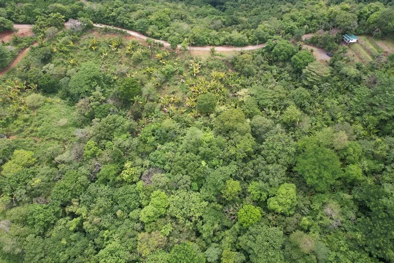 Lotes Paraíso: Spectacular Ocean and Mountain View 5.77 acres Development Land, photo 10
