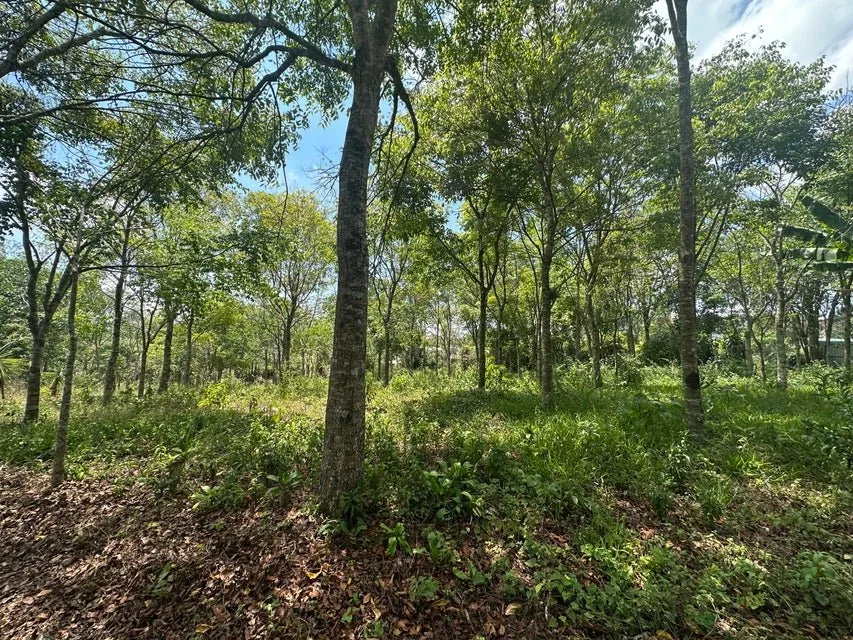 Venta de Lote en Puriscal-San José. RAH 24-1482 - Venta en Puriscal, photo 11