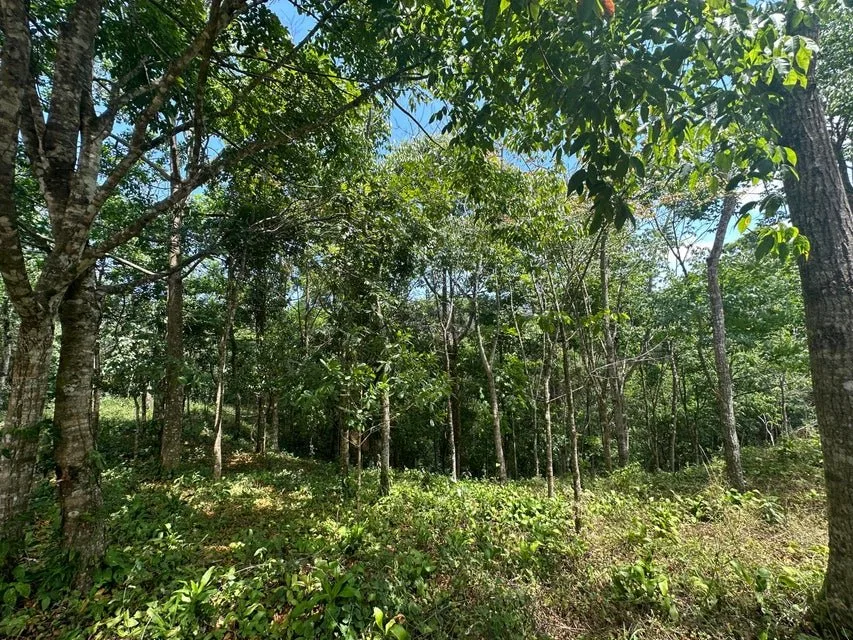 Venta de Lote en Puriscal-San José. RAH 24-1482 - Venta en Puriscal, photo 12