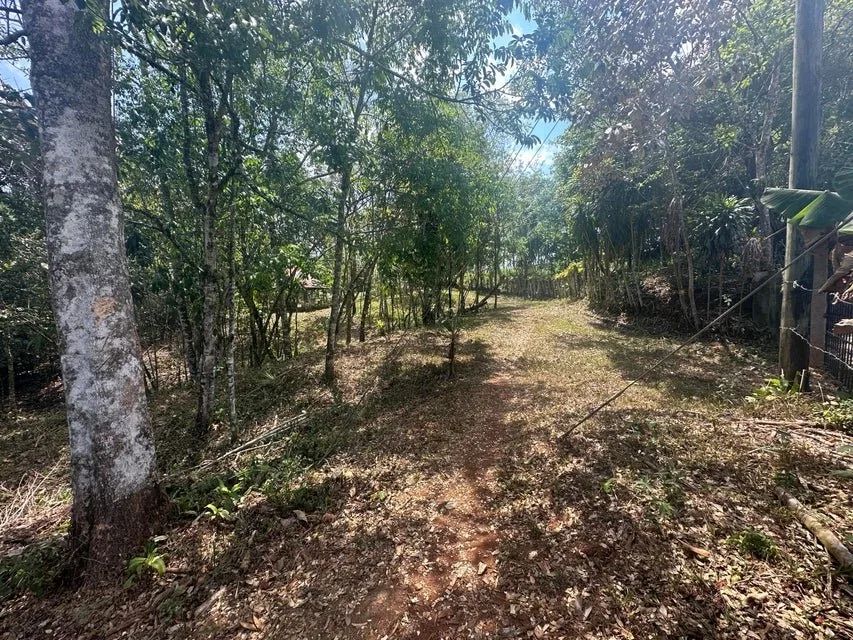 Venta de Lote en Puriscal-San José. RAH 24-1482 - Venta en Puriscal, photo 3