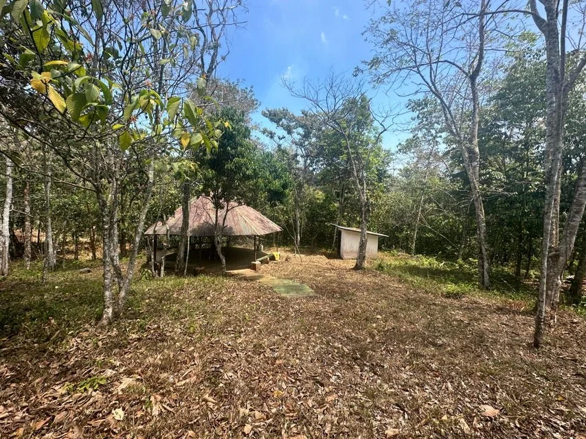 Venta de Lote en Puriscal-San José. RAH 24-1482 - Venta en Puriscal, photo 4