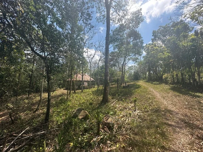 Venta de Lote en Puriscal-San José. RAH 24-1482 - Venta en Puriscal, photo 6
