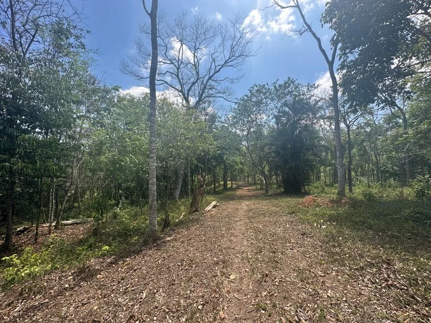 Venta de Lote en Puriscal-San José. RAH 24-1482 - Venta en Puriscal, photo 8