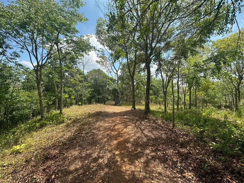 Venta de Lote en Puriscal-San José. RAH 24-1482 - Venta en Puriscal, photo 10