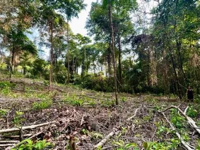 Bienvenido a tu refugio en la jungla, photo 6