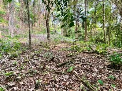 Bienvenido a tu refugio en la jungla, photo 7