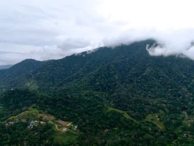 Bienvenido a tu refugio en la jungla, photo 10
