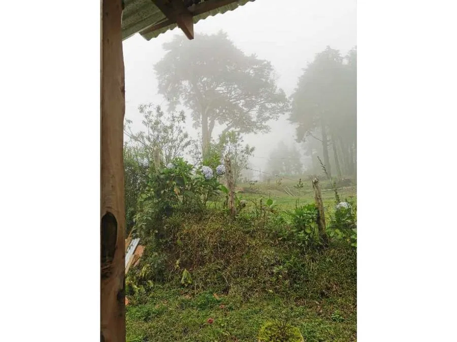 VENTA DE CABAÑA, HEREDIA, BARVA, SAN JOSE DE LA MONTAÑA, photo 9