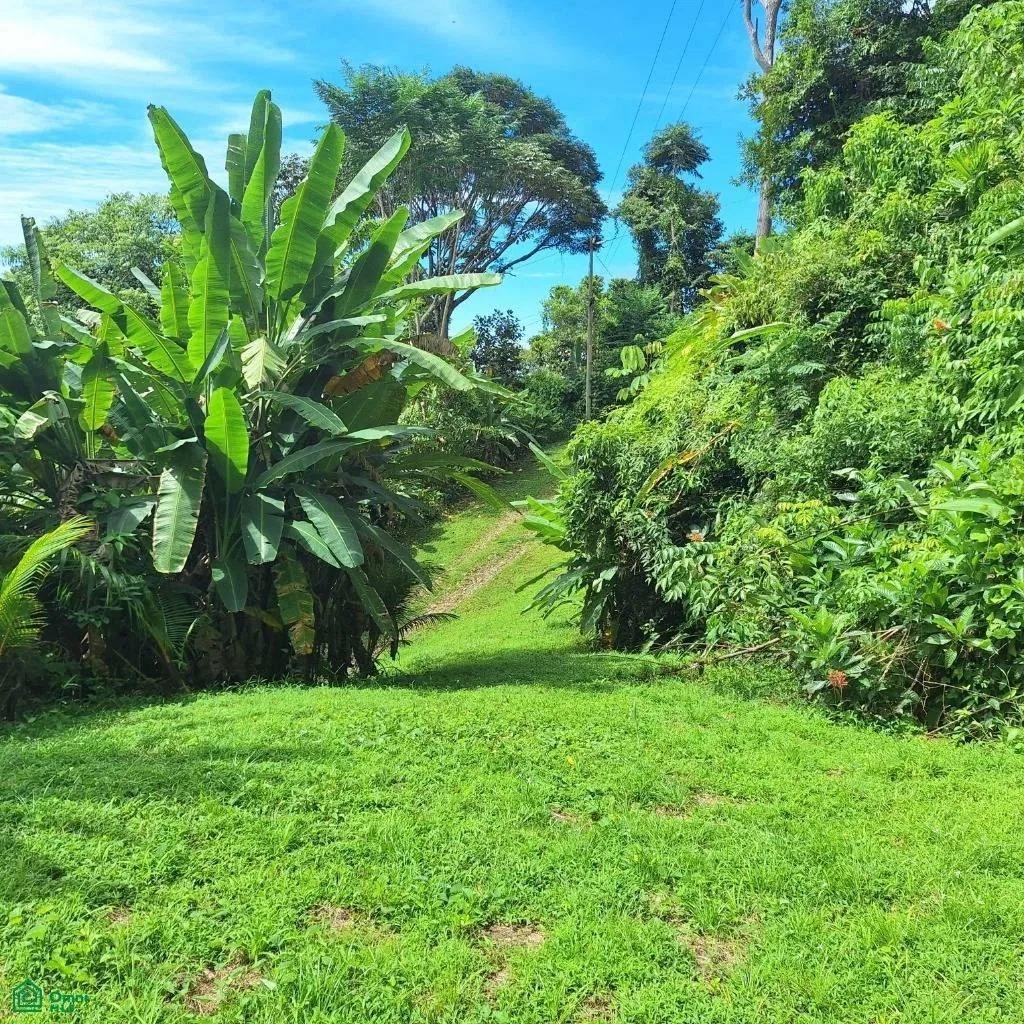 Exceptional Ocean & Mountain View Property in Pinuela Arriba , Bahía Ballena, Osa, Puntarenas, photo 2
