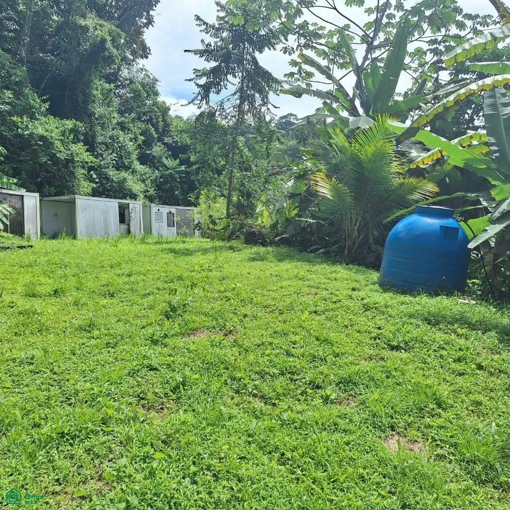 Exceptional Ocean & Mountain View Property in Pinuela Arriba , Bahía Ballena, Osa, Puntarenas, photo 3