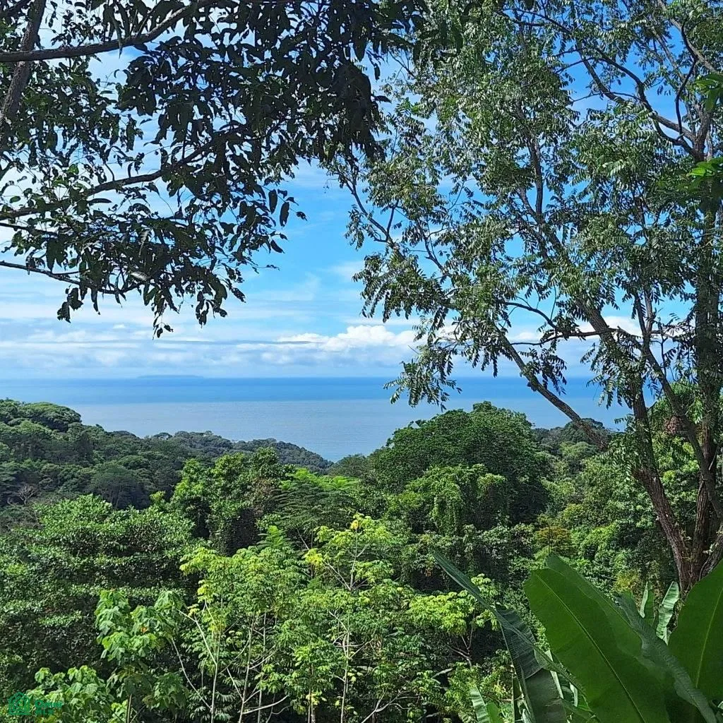 Exceptional Ocean & Mountain View Property in Pinuela Arriba , Bahía Ballena, Osa, Puntarenas, photo 5