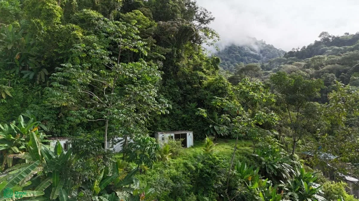 Exceptional Ocean & Mountain View Property in Pinuela Arriba , Bahía Ballena, Osa, Puntarenas, photo 6