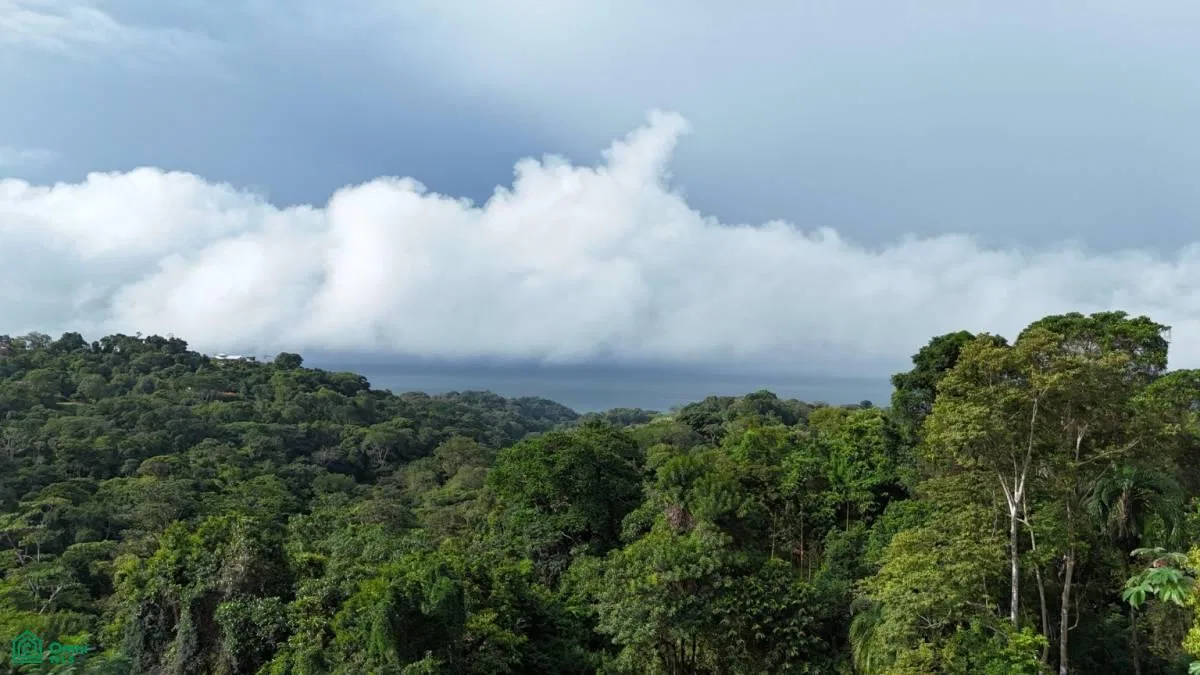 Exceptional Ocean & Mountain View Property in Pinuela Arriba , Bahía Ballena, Osa, Puntarenas, photo 7