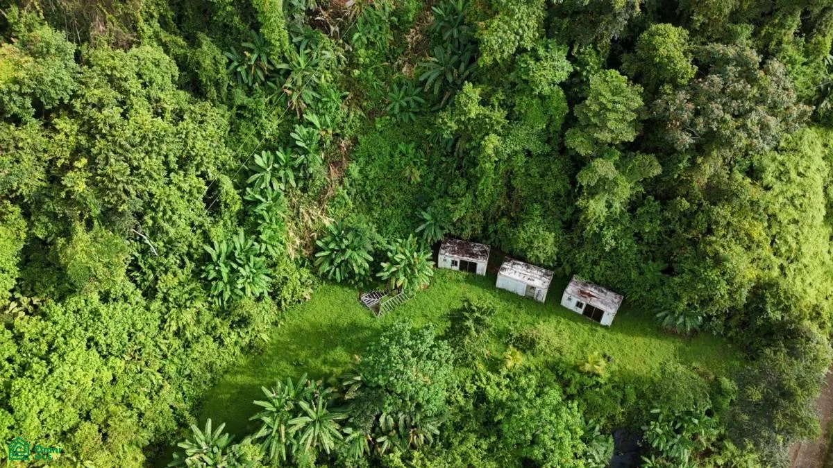 Exceptional Ocean & Mountain View Property in Pinuela Arriba , Bahía Ballena, Osa, Puntarenas, photo 8