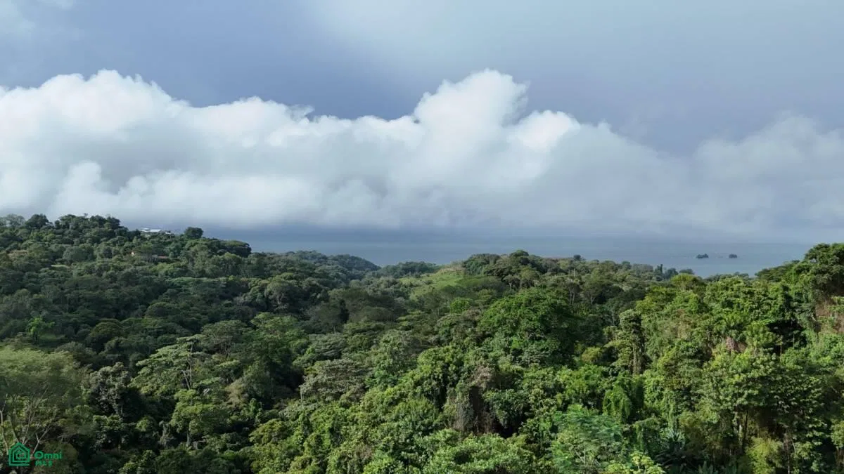 Exceptional Ocean & Mountain View Property in Pinuela Arriba , Bahía Ballena, Osa, Puntarenas, photo 9