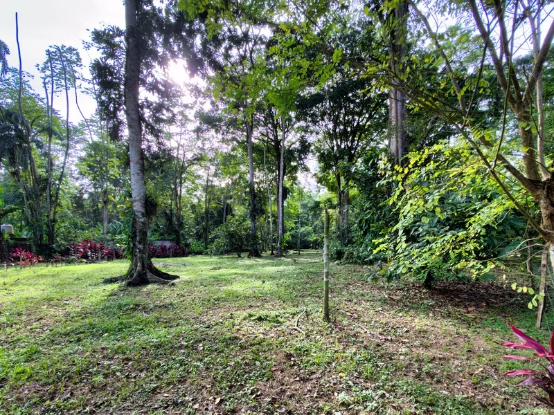Land For Sale in Cahuita, photo 11