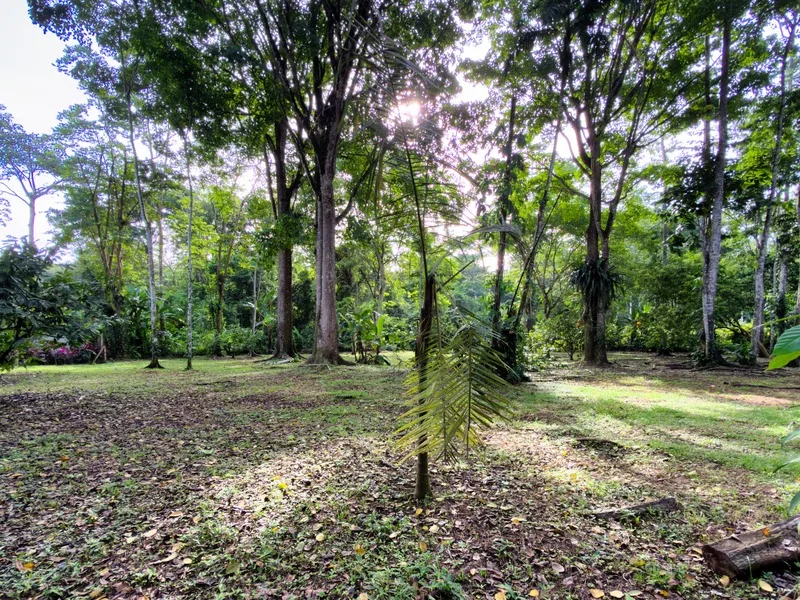 Land For Sale in Cahuita, photo 12