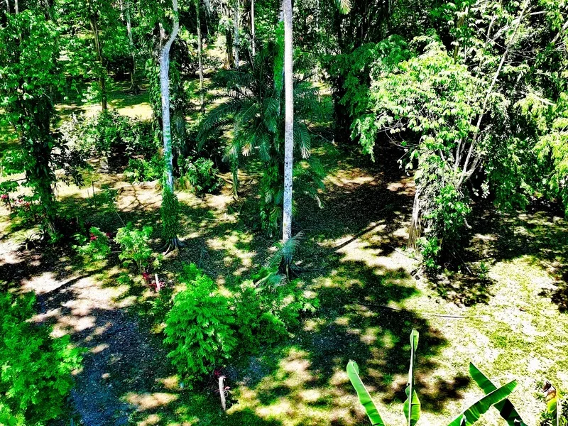 Land For Sale in Cahuita, photo 5