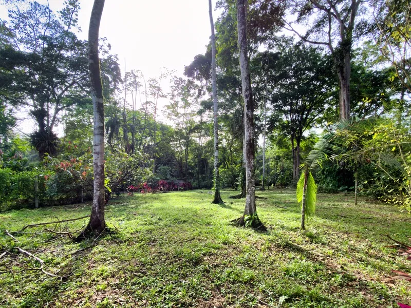Land For Sale in Cahuita, photo 10