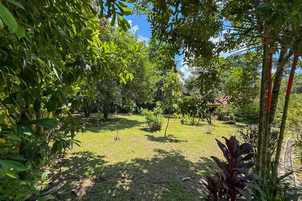 COMMERCIAL PROPERTY WITH ELEVEN BEDROOMS A STEPS OF CREEK, IN OJOCHAL – 2.22 ACRES, photo 13