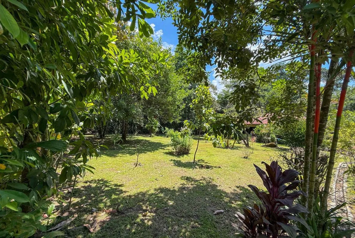 COMMERCIAL PROPERTY WITH ELEVEN BEDROOMS A STEPS OF CREEK, IN OJOCHAL – 2.22 ACRES, photo 14