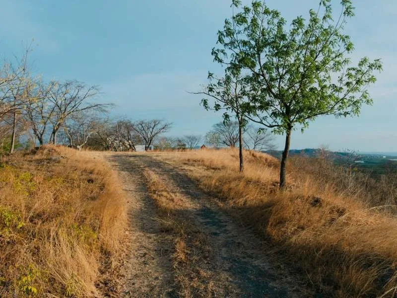 Land For Sale in Playa Grande, photo 7