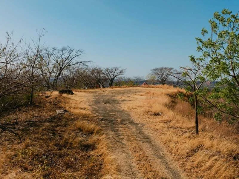 Land For Sale in Playa Grande, photo 8