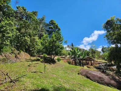 Hermosa propiedad amplia para construir la casa de sus sueños, photo 2