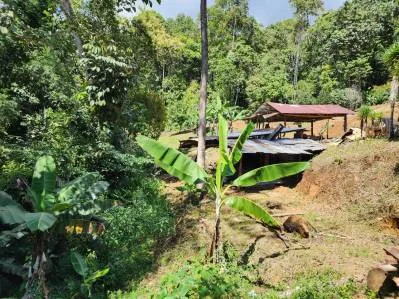 Hermosa propiedad amplia para construir la casa de sus sueños, photo 6