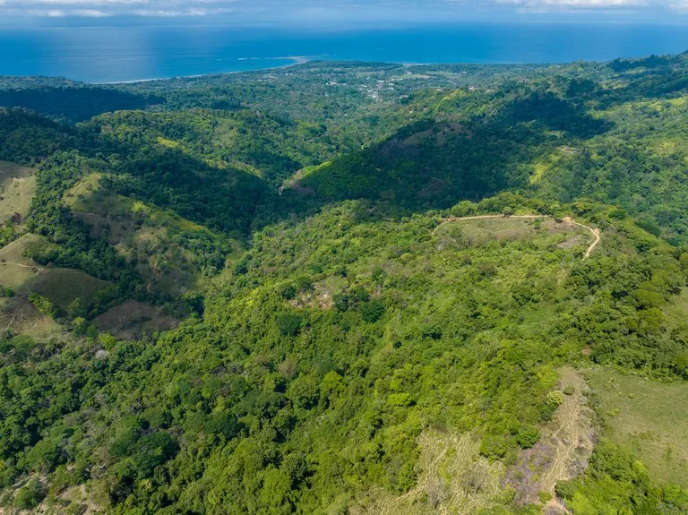 101 Acre Waterfall Riverfront and Ocean View Farm in Playa Uvita , photo 2