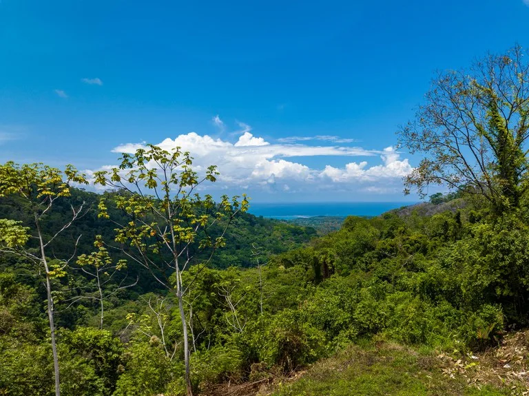 101 Acre Waterfall Riverfront and Ocean View Farm in Playa Uvita , photo 11