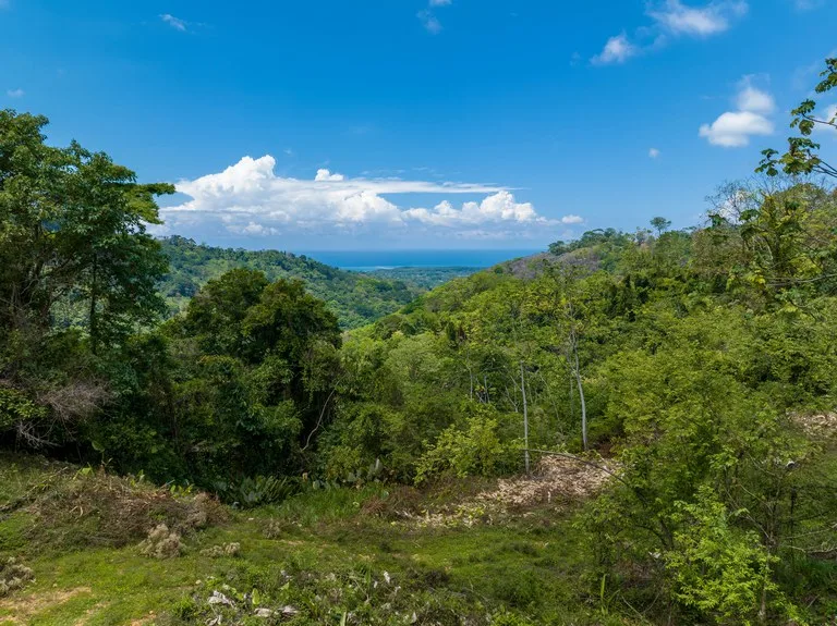 101 Acre Waterfall Riverfront and Ocean View Farm in Playa Uvita , photo 12