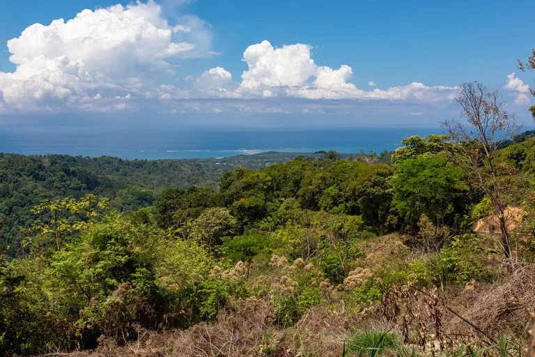 101 Acre Waterfall Riverfront and Ocean View Farm in Playa Uvita , photo 13
