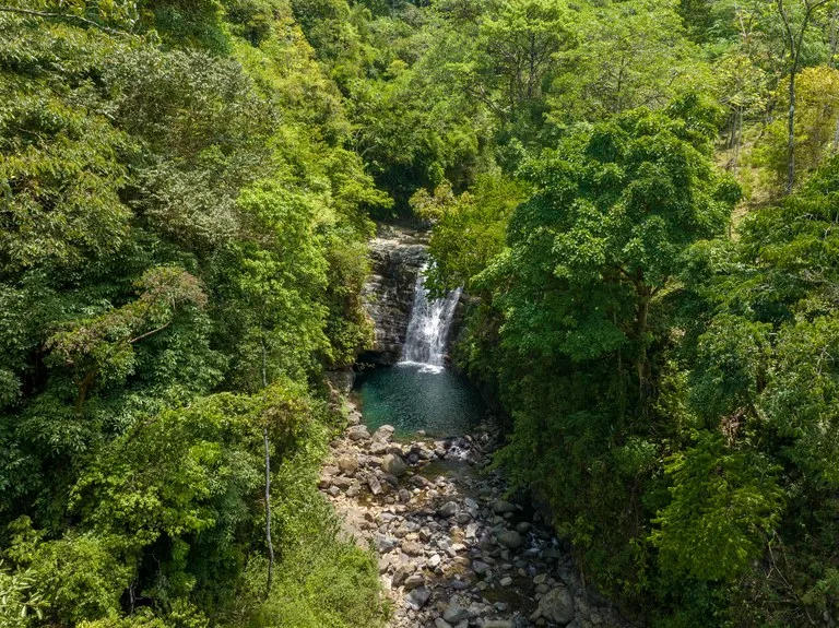 101 Acre Waterfall Riverfront and Ocean View Farm in Playa Uvita , photo 14