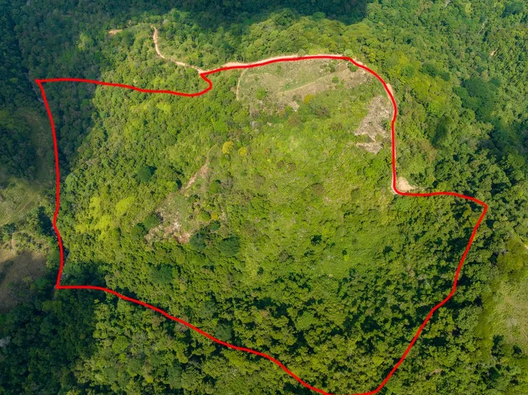 101 Acre Waterfall Riverfront and Ocean View Farm in Playa Uvita , photo 3
