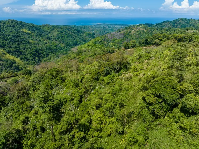 101 Acre Waterfall Riverfront and Ocean View Farm in Playa Uvita , photo 7
