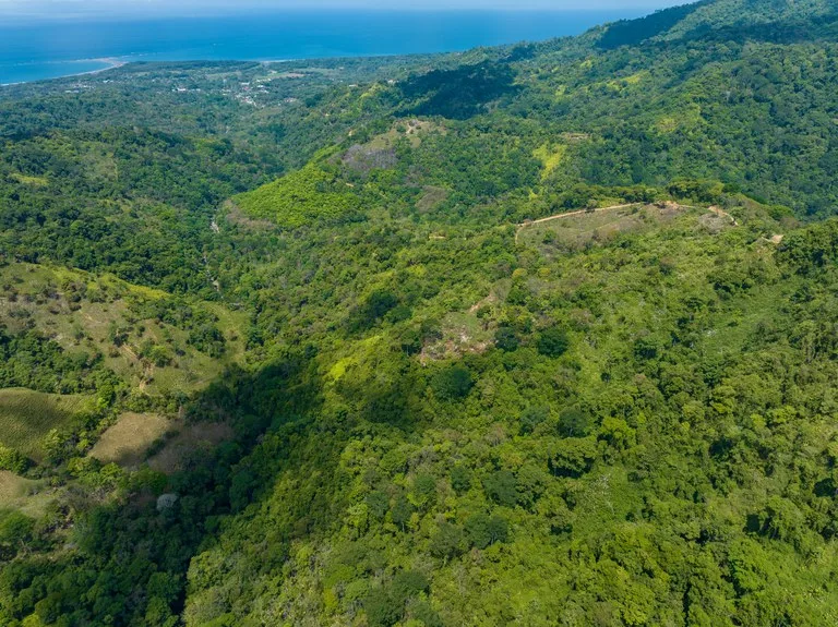 101 Acre Waterfall Riverfront and Ocean View Farm in Playa Uvita , photo 8
