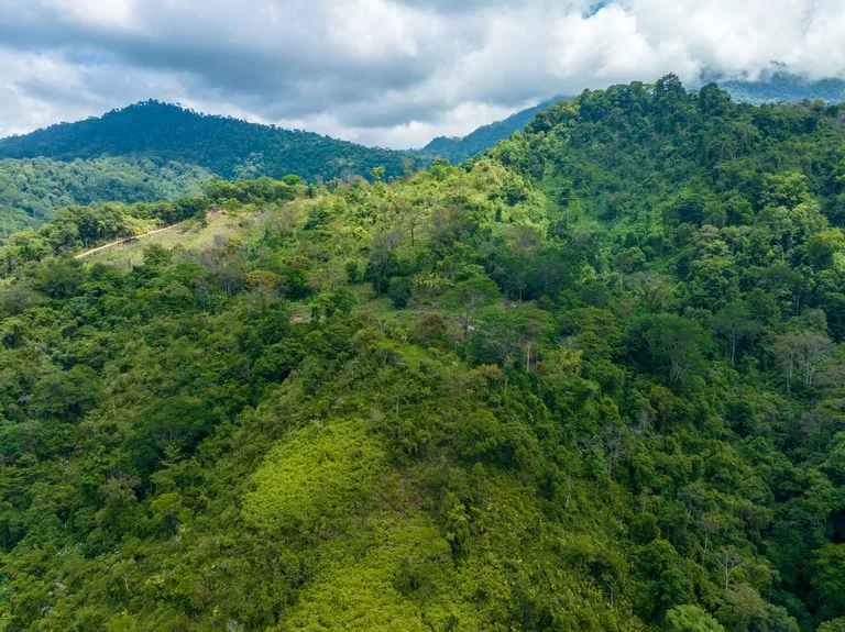 101 Acre Waterfall Riverfront and Ocean View Farm in Playa Uvita , photo 9