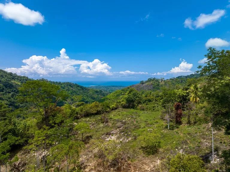 101 Acre Waterfall Riverfront and Ocean View Farm in Playa Uvita , photo 10