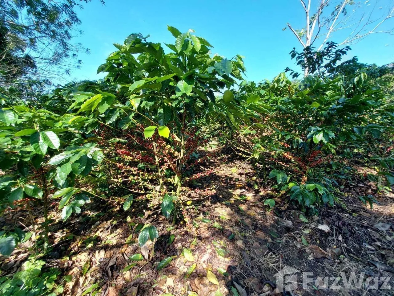 Land for Sale in Puriscal, San Jose for $1,100,000, photo 5